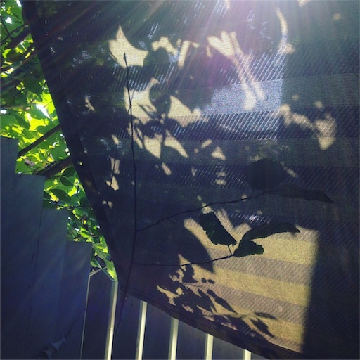 f:id:fujikana:20171110123835j:image