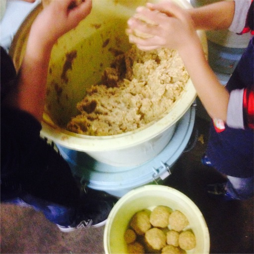 f:id:fujikana:20171120210809j:image f:id:fujikana:20171120210809j:image