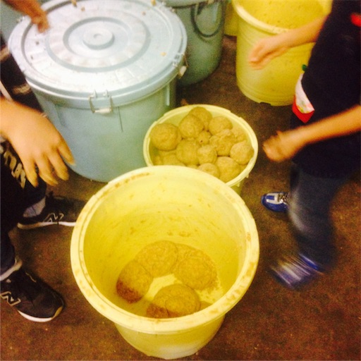 f:id:fujikana:20171120211540j:image f:id:fujikana:20171120211540j:image