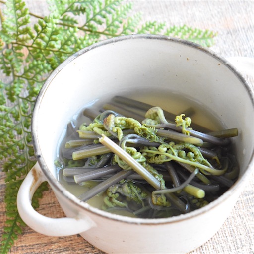 f:id:fujikana:20180413175319j:image