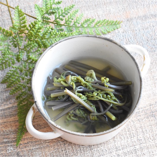 f:id:fujikana:20180413175350j:image