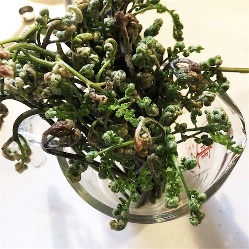 f:id:fujikana:20180413175412j:image