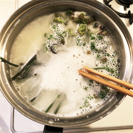 f:id:fujikana:20180413175444j:image