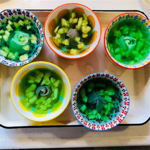 f:id:fujikana:20180701111212j:image