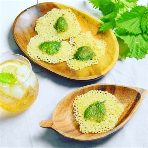 f:id:fujikana:20180721104743j:image