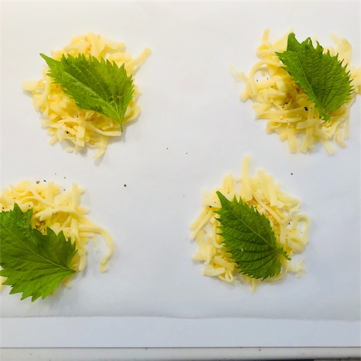 f:id:fujikana:20180721104950j:image