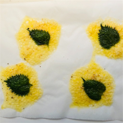 f:id:fujikana:20180721105006j:image