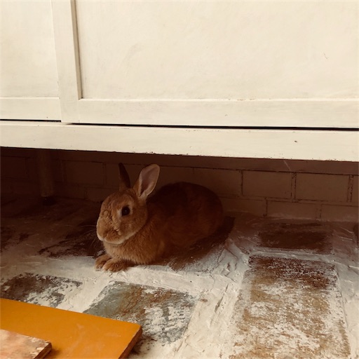 f:id:fujikana:20180730152917j:image f:id:fujikana:20180730152917j:image