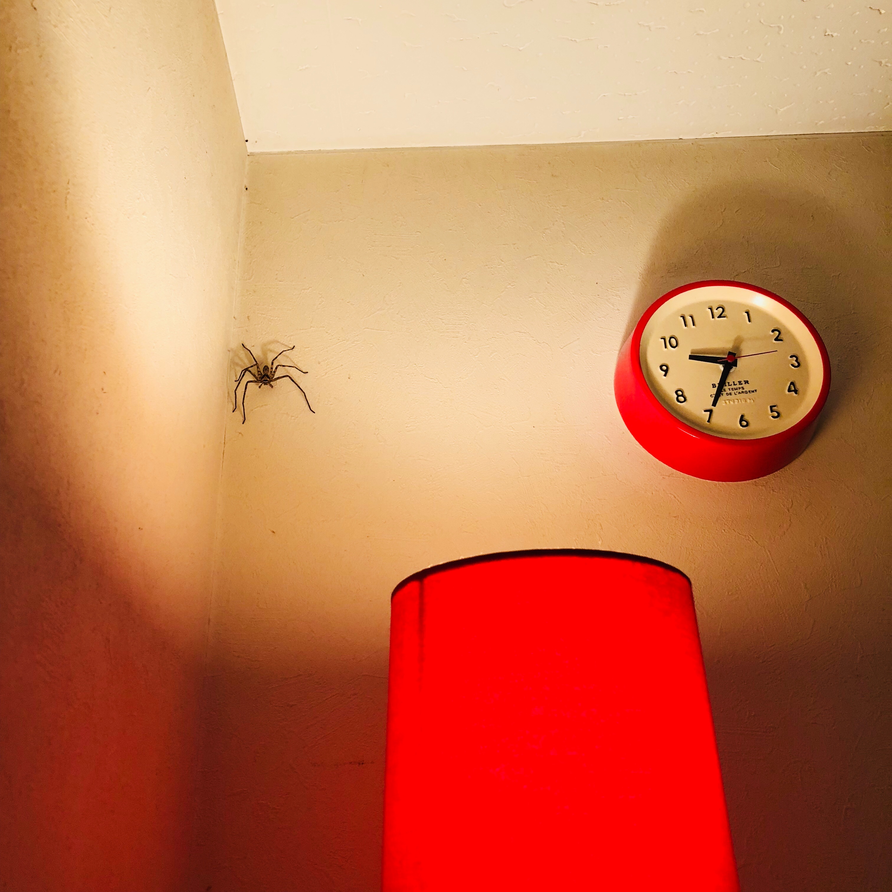 f:id:fujikana:20181018121539j:image