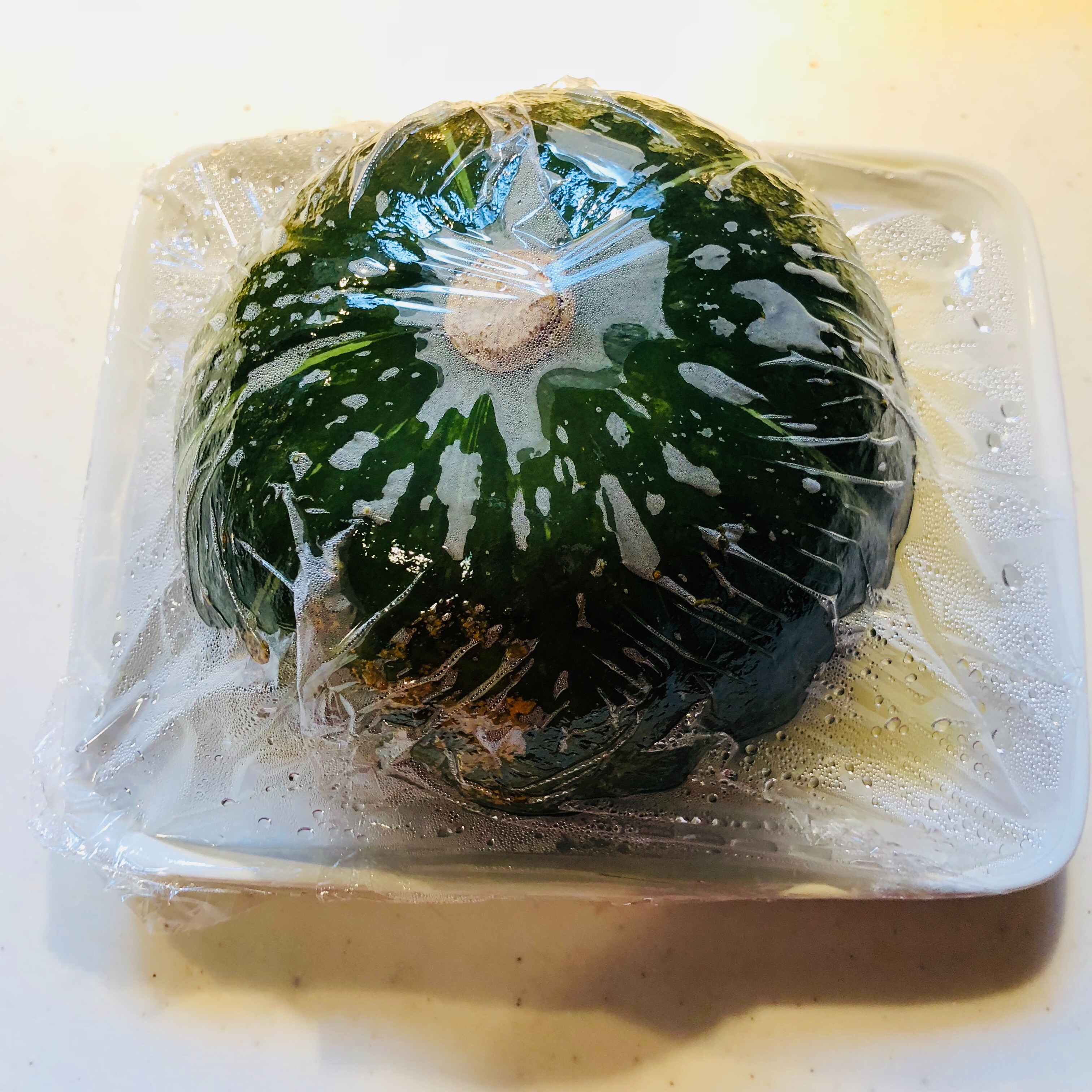 f:id:fujikana:20181026151701j:image