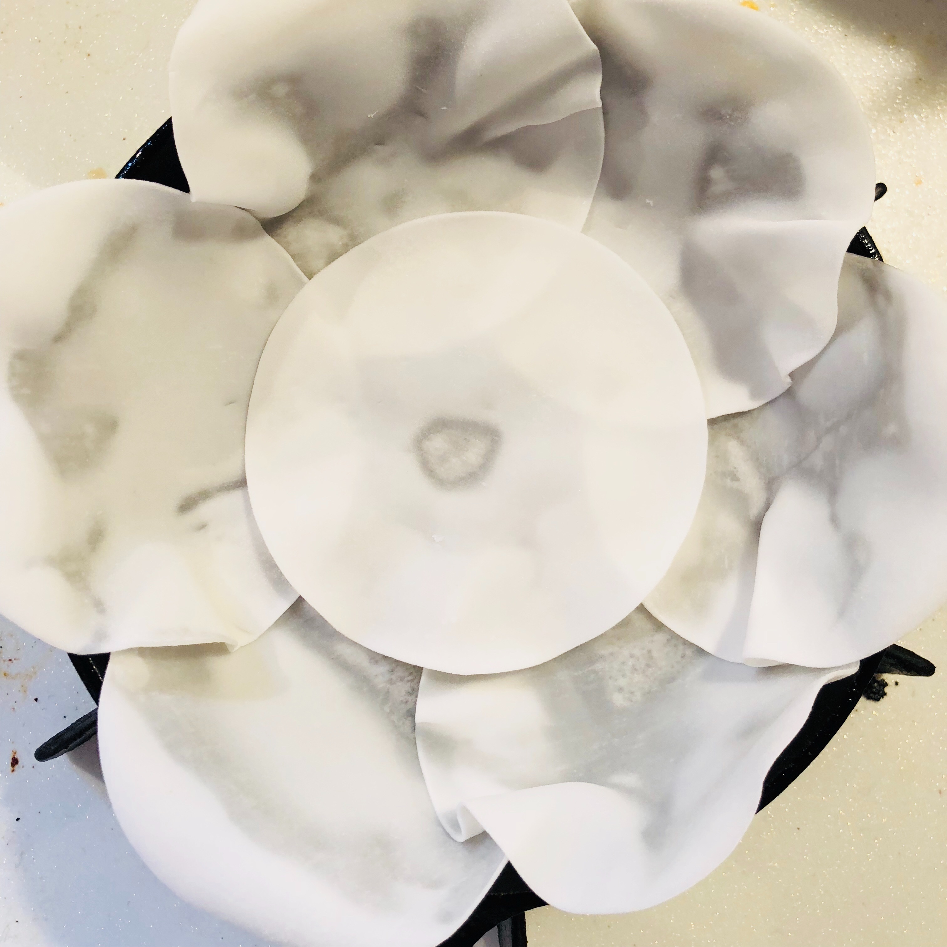 f:id:fujikana:20181115213005j:image