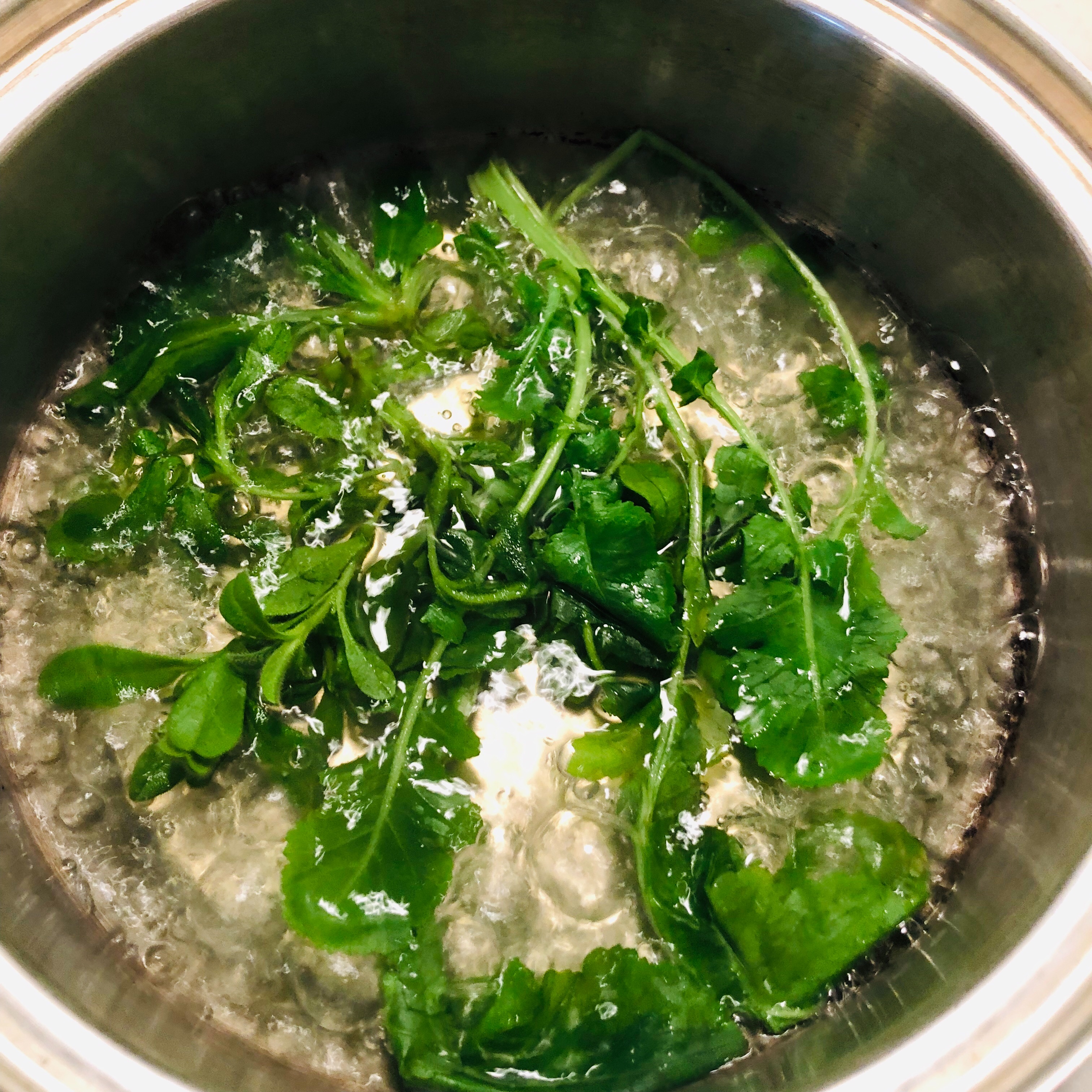 f:id:fujikana:20190107161430j:image