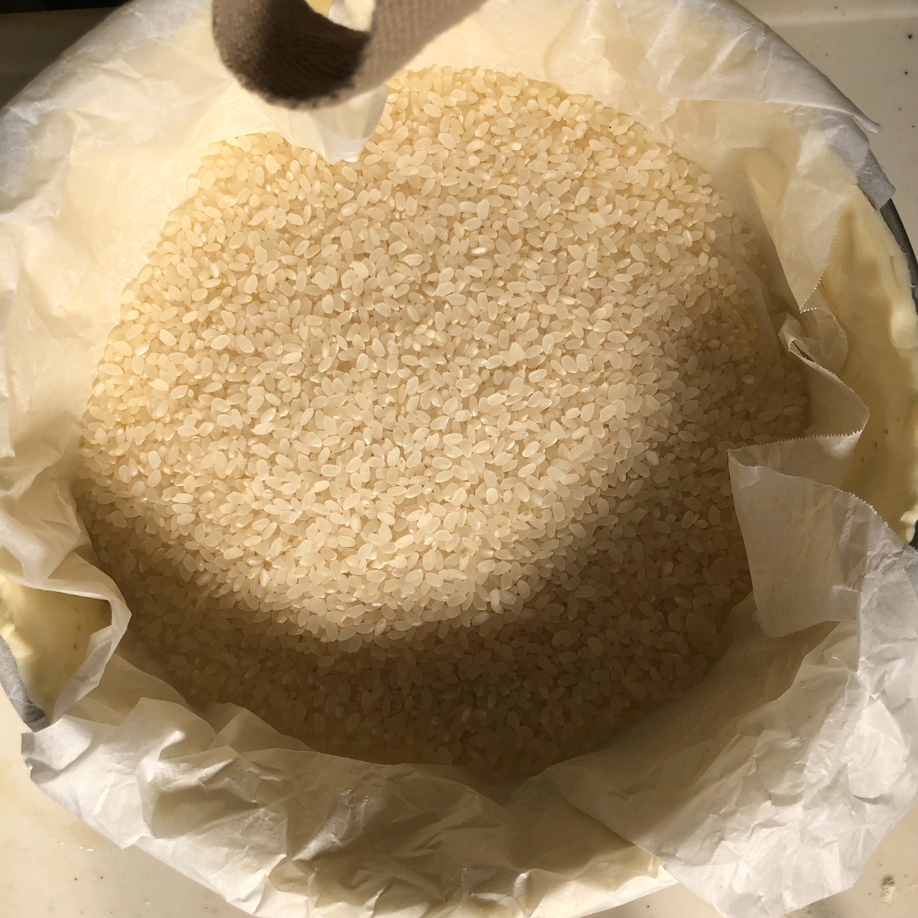 f:id:fujikana:20190503174908j:image