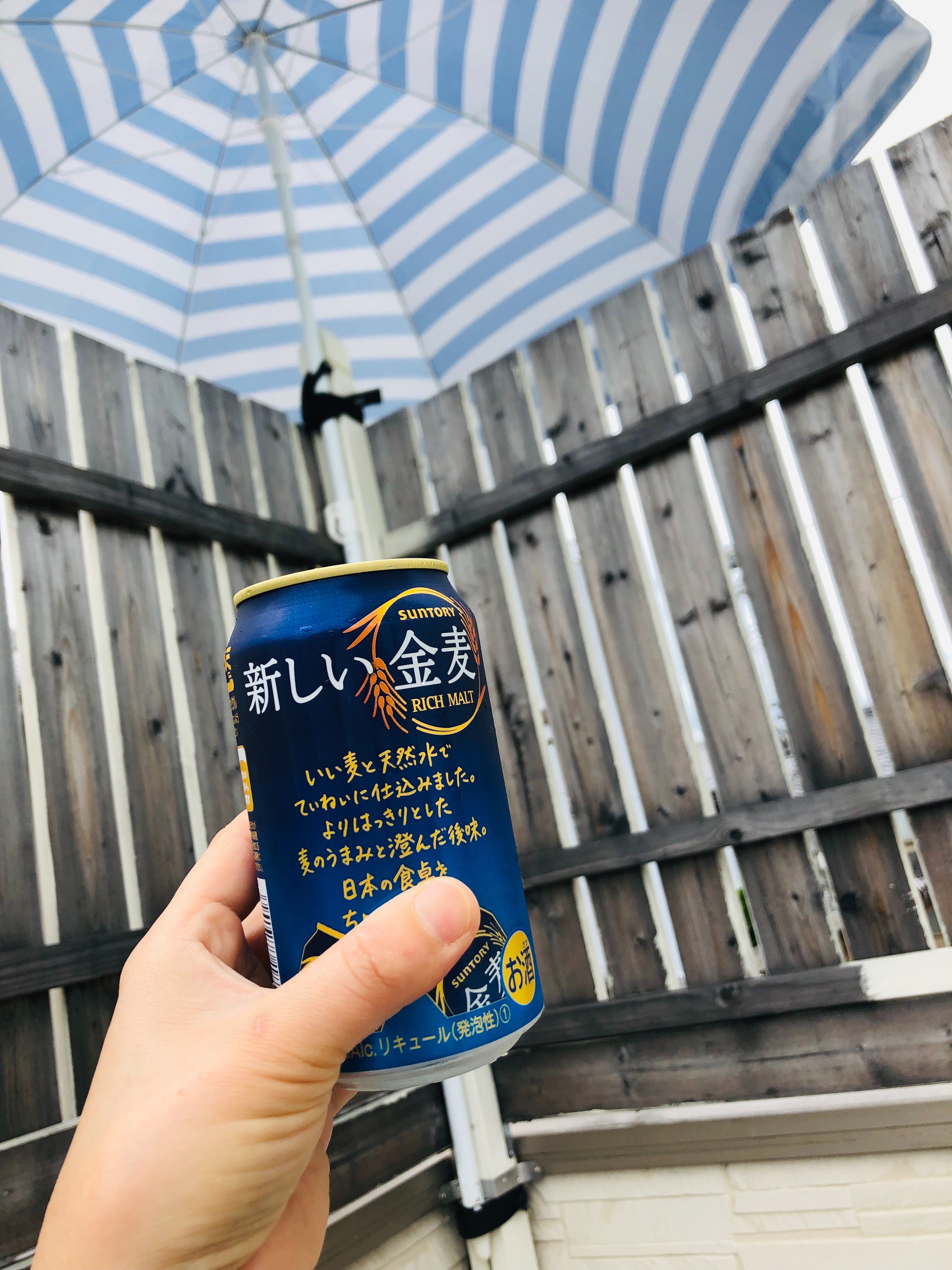 f:id:fujikana:20190503183725j:image