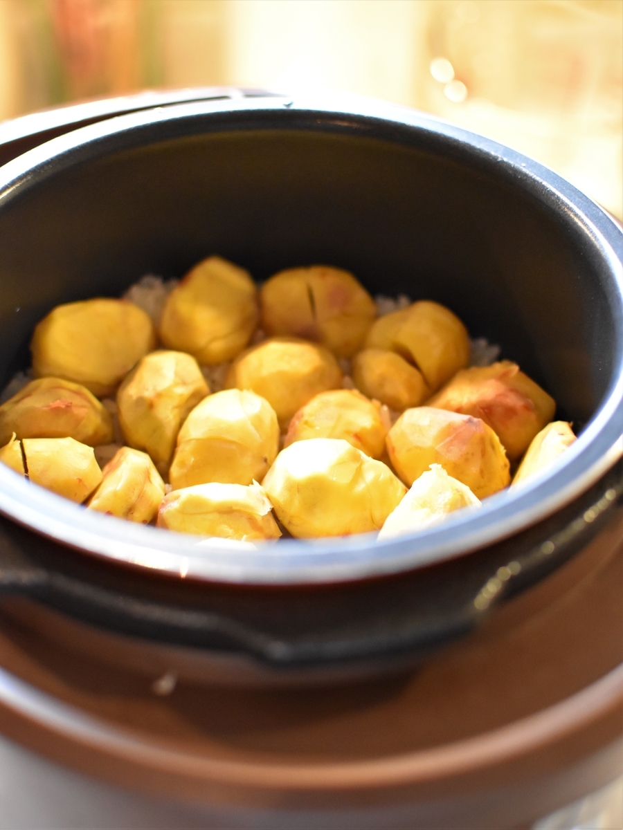 f:id:fujikana:20191005155835j:plain