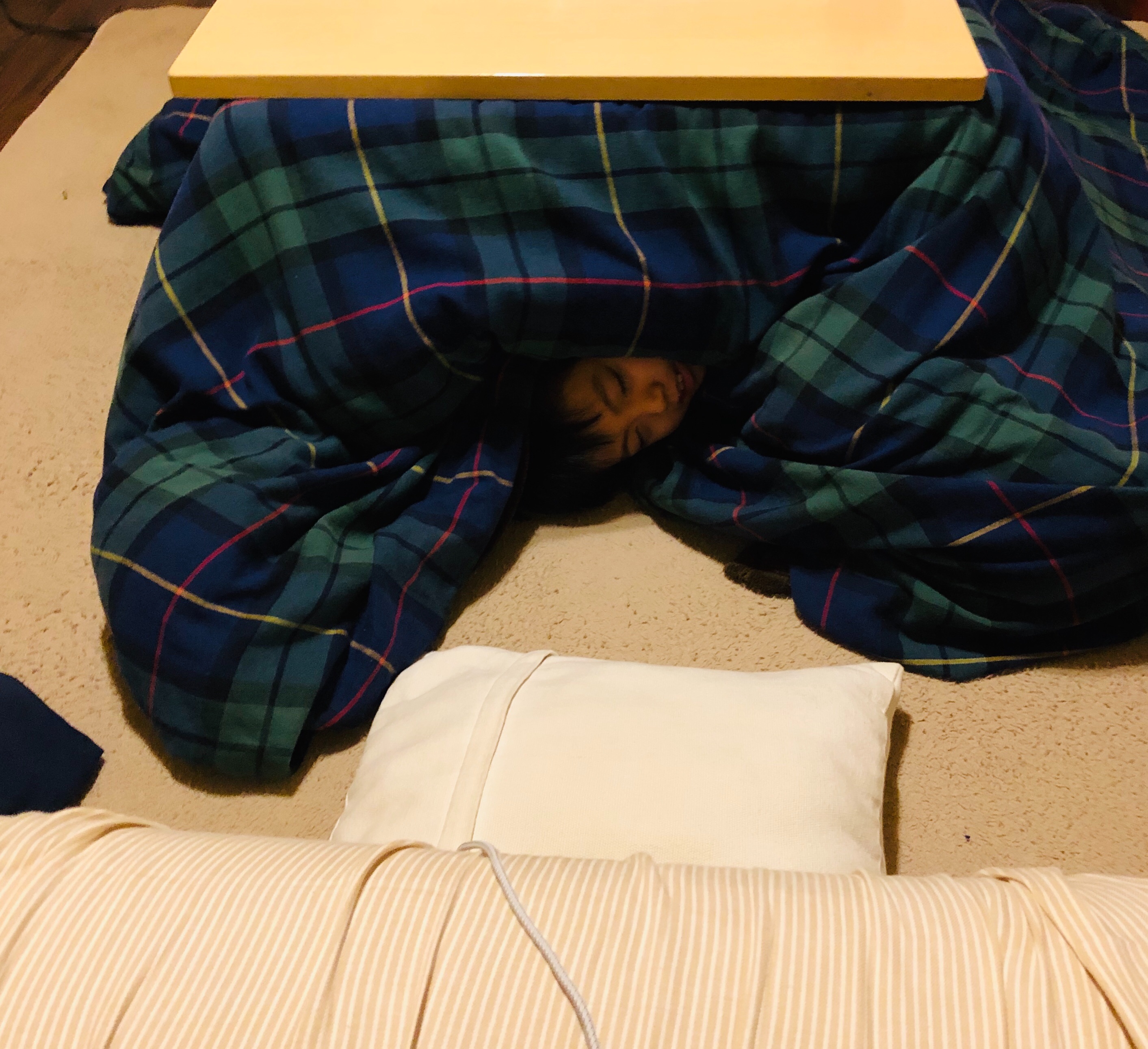 f:id:fujikana:20200111151200j:image