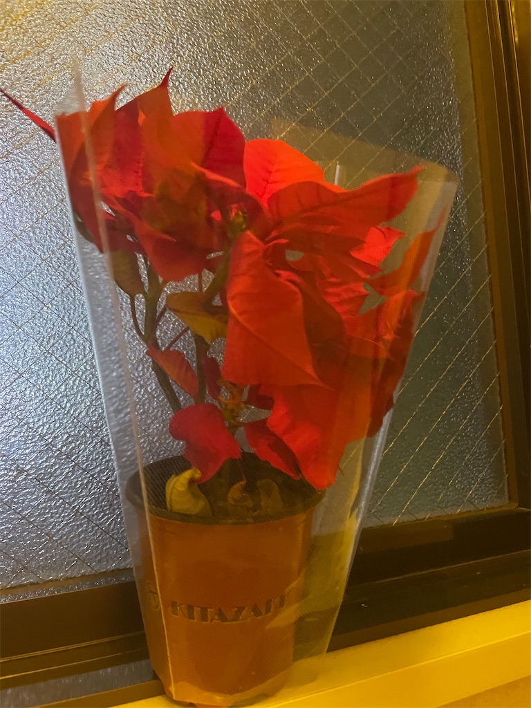 f:id:fujikawaradio:20231221174312j:image
