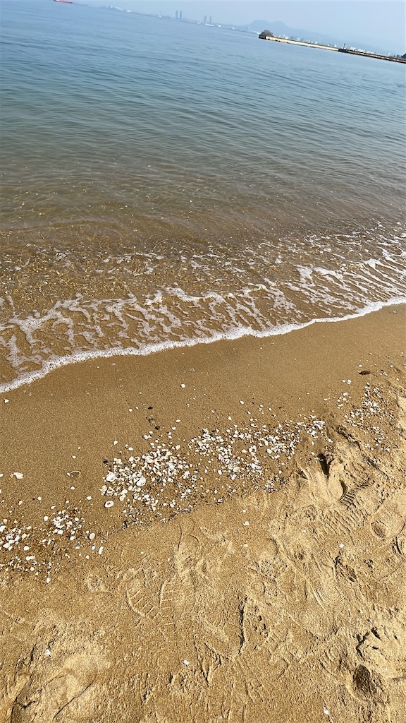 f:id:fujikawaradio:20250410160455j:image