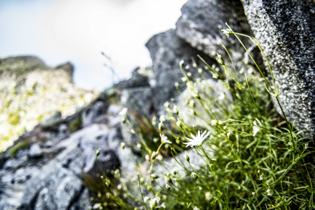 f:id:fujikixblog:20180908085651j:plain