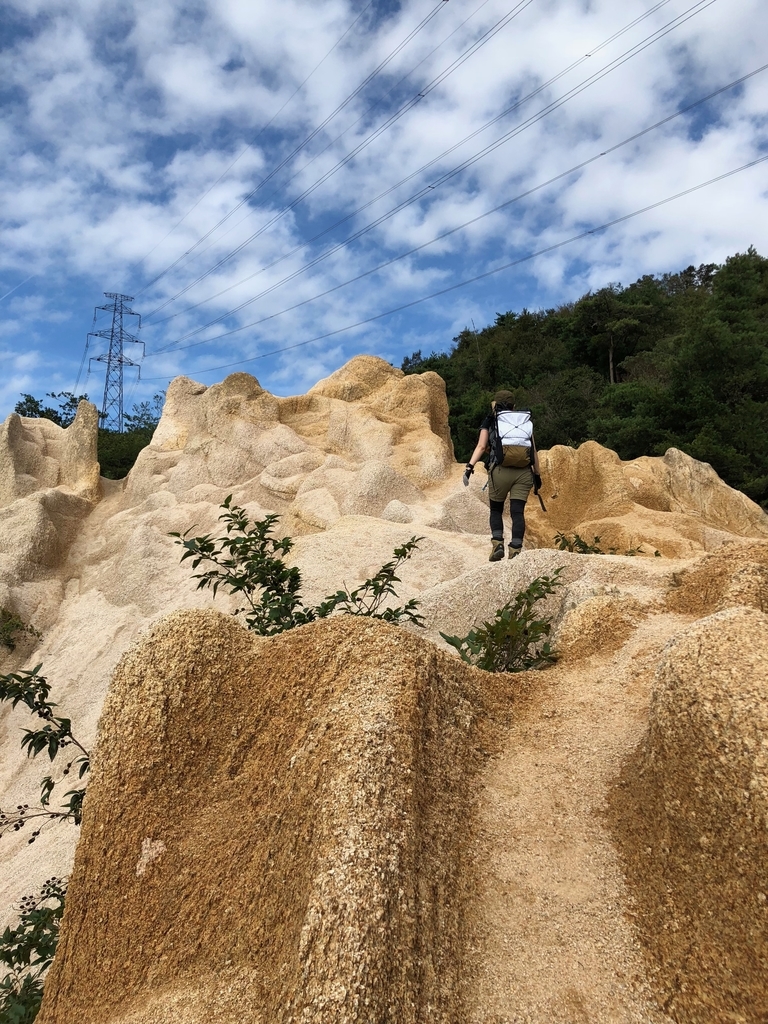 f:id:fujikixblog:20181014132421j:plain f:id:fujikixblog:20181014132421j:plain