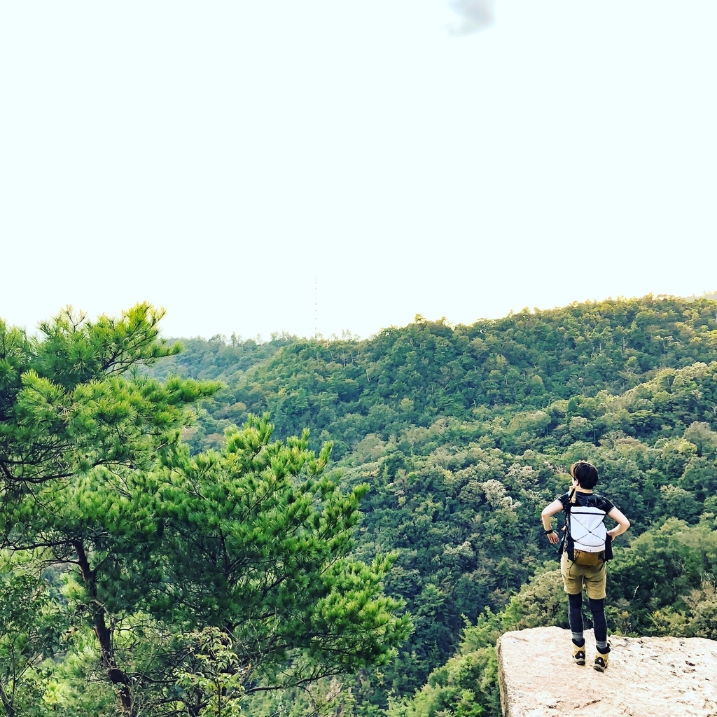 f:id:fujikixblog:20181014132900j:plain f:id:fujikixblog:20181014132900j:plain