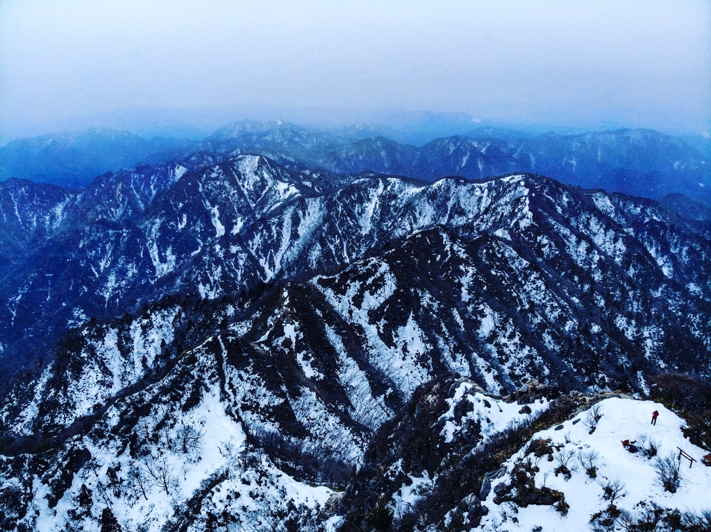 f:id:fujikixblog:20190219172235j:plain