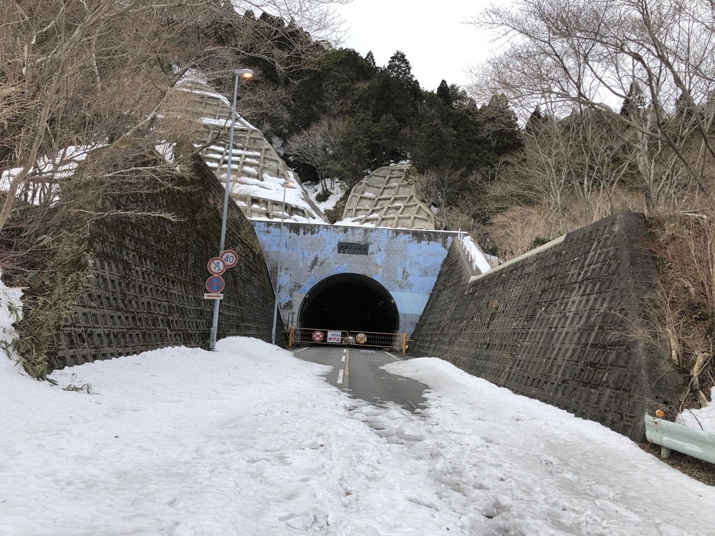 f:id:fujikixblog:20190219172431j:plain