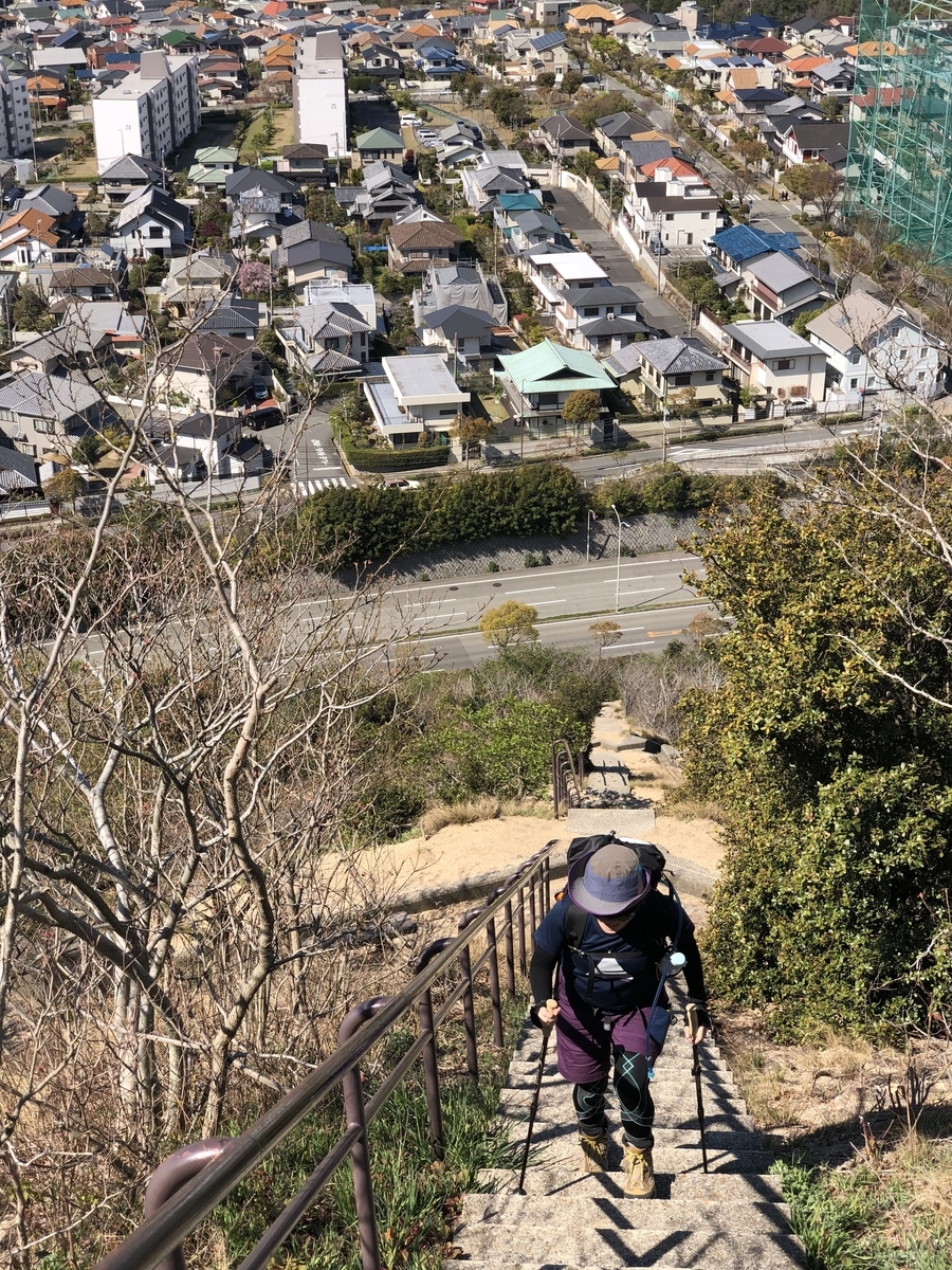f:id:fujikixblog:20190415181249j:plain