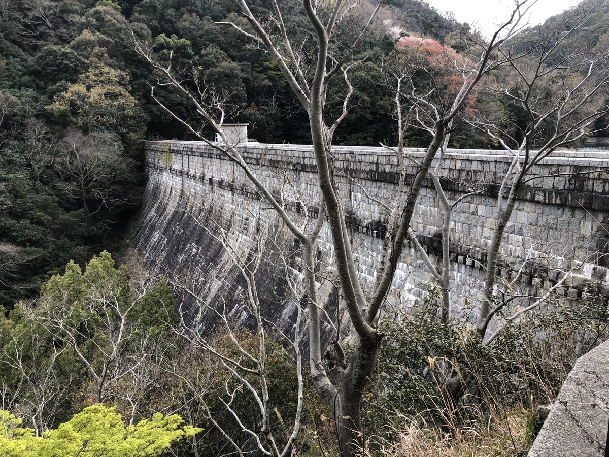 f:id:fujikixblog:20190417124101j:plain f:id:fujikixblog:20190417124101j:plain