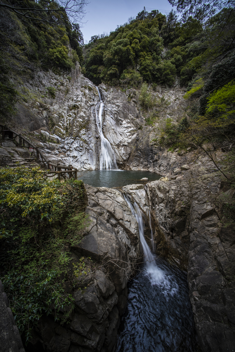 f:id:fujikixblog:20190417124734j:plain f:id:fujikixblog:20190417124734j:plain