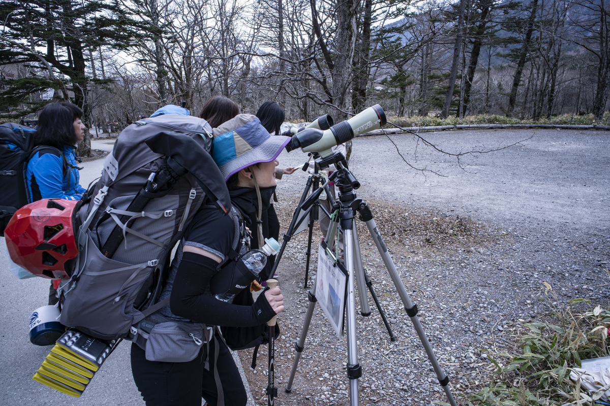 f:id:fujikixblog:20190610065440j:plain f:id:fujikixblog:20190610065440j:plain