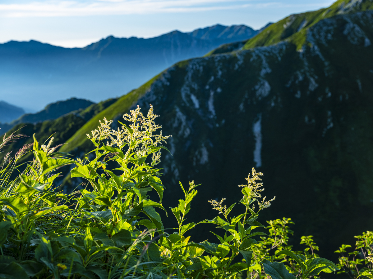 f:id:fujikixblog:20190828115433j:plain