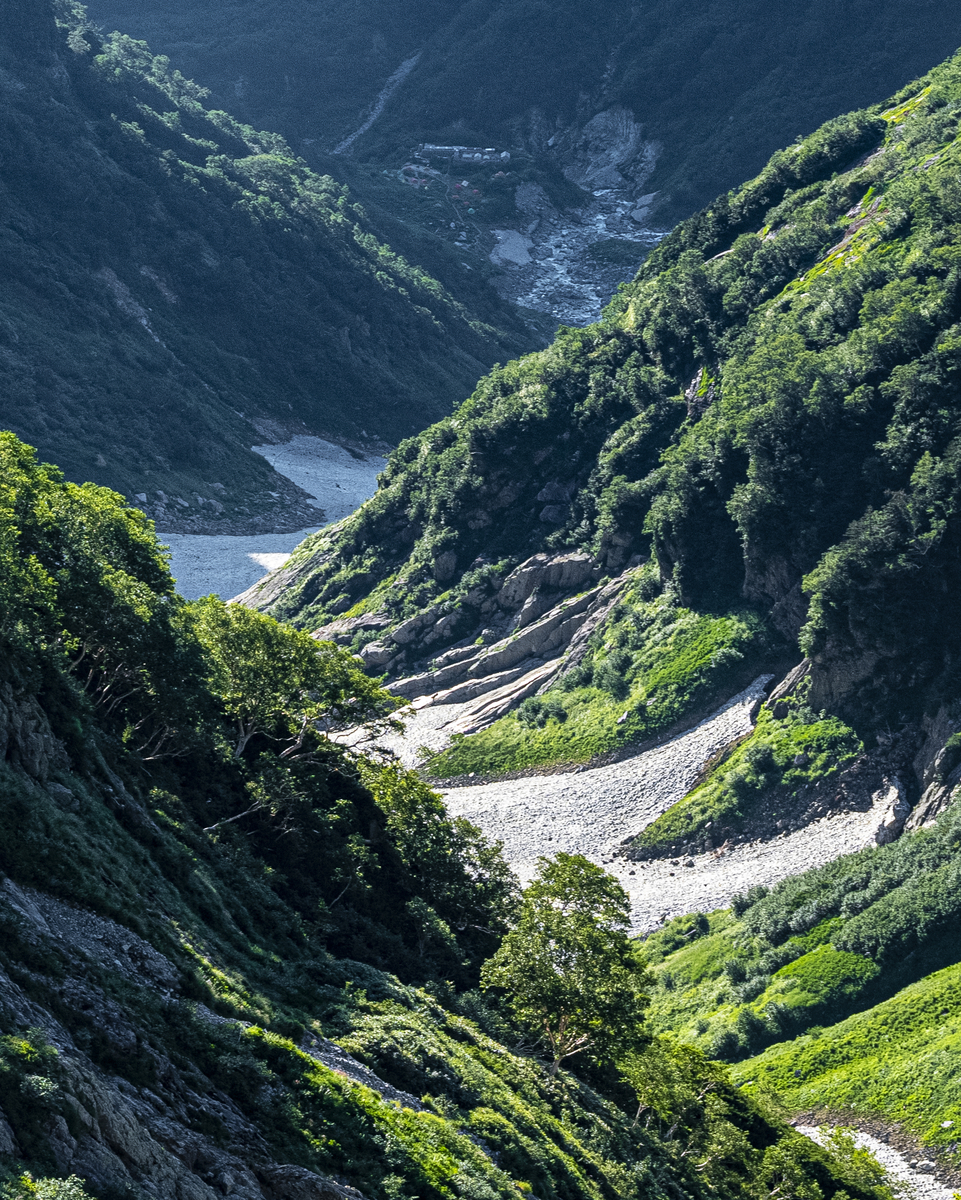f:id:fujikixblog:20190828132843j:plain