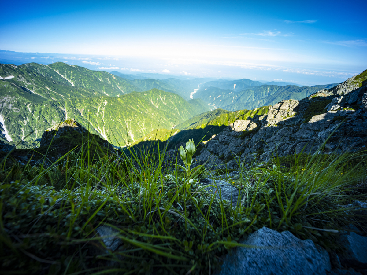 f:id:fujikixblog:20190828135256j:plain