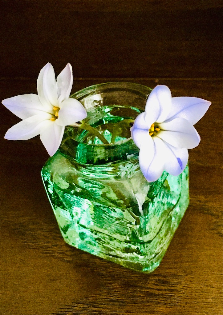 f:id:fujiko-chan:20200405180404j:image