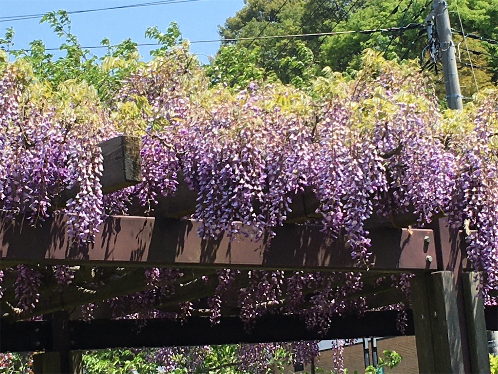 f:id:fujiko-chan:20200501222319j:image