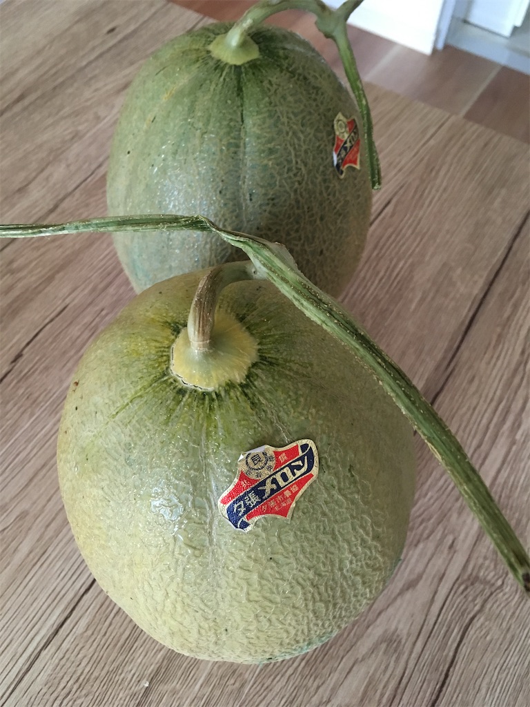 f:id:fujiko-chan:20200608233821j:image