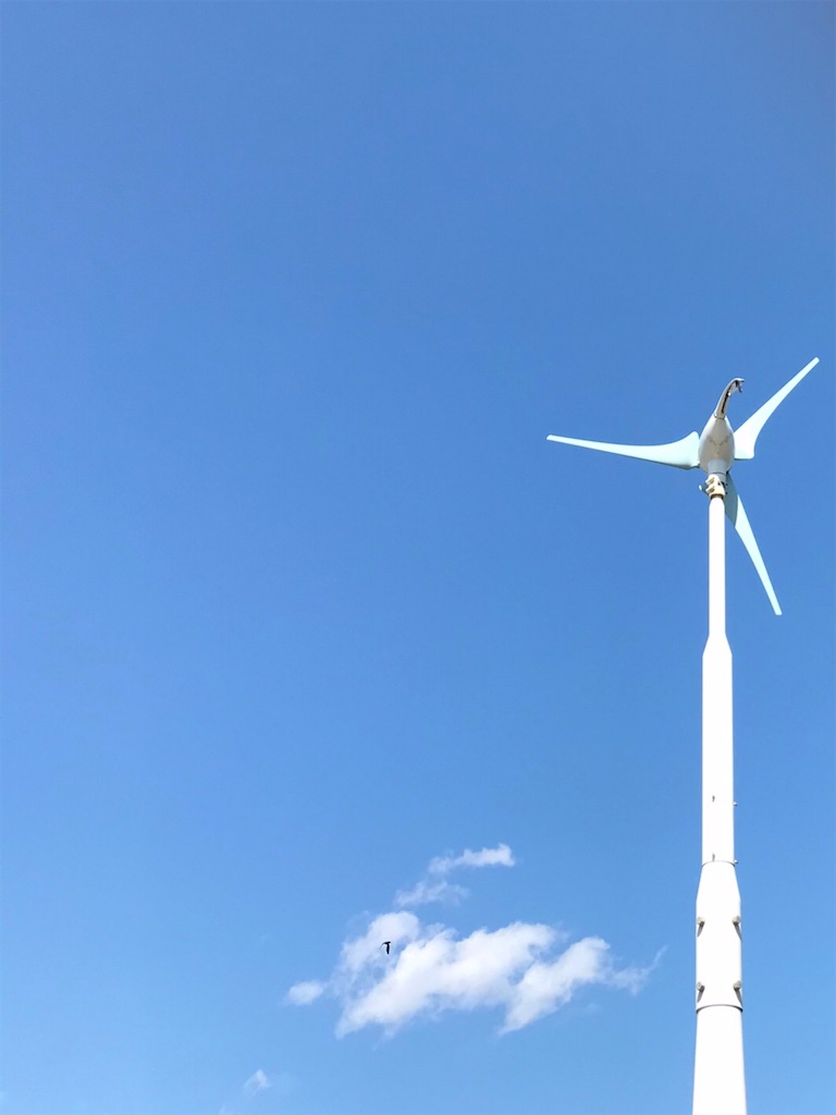 f:id:fujiko-chan:20210314162728j:plain