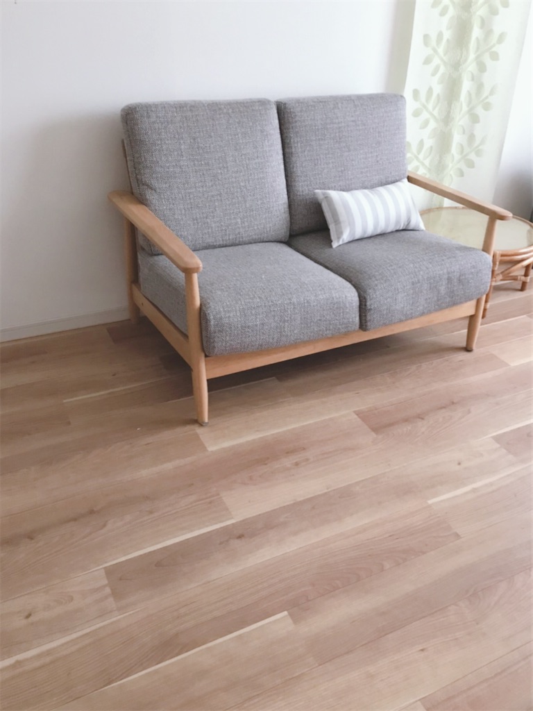 f:id:fujiko-chan:20210530170343j:plain