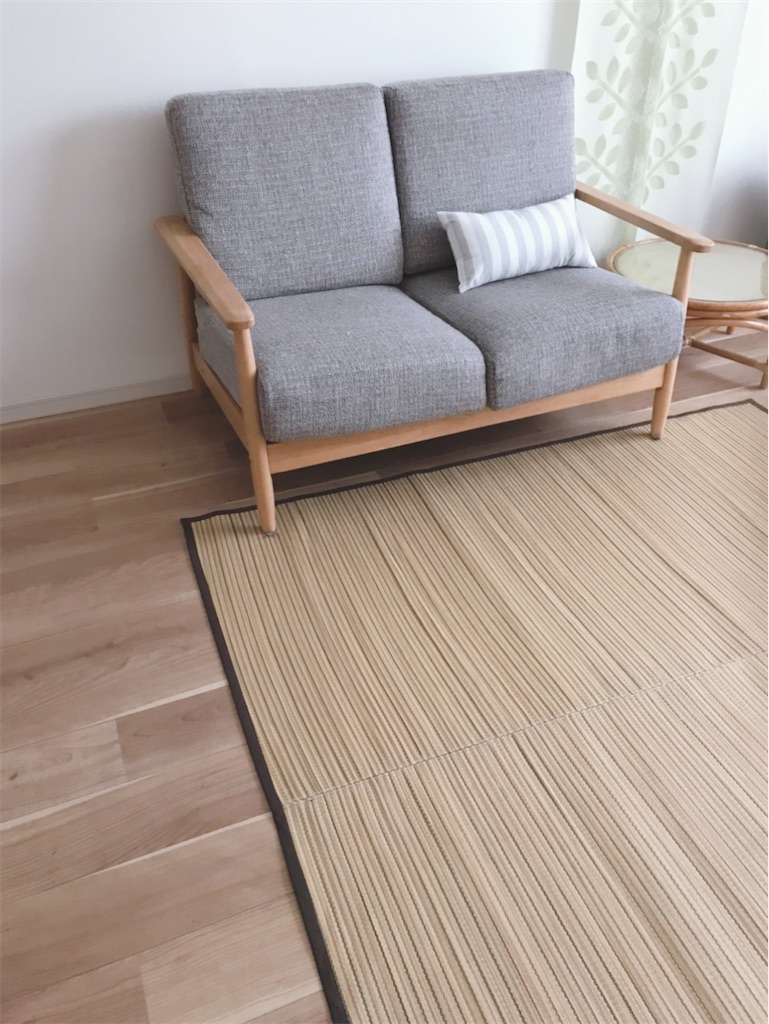 f:id:fujiko-chan:20210530170351j:plain