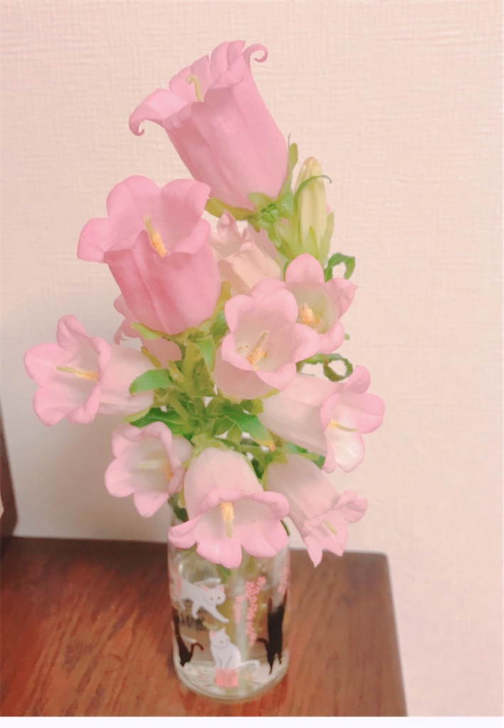 f:id:fujiko-chan:20210606224848j:plain