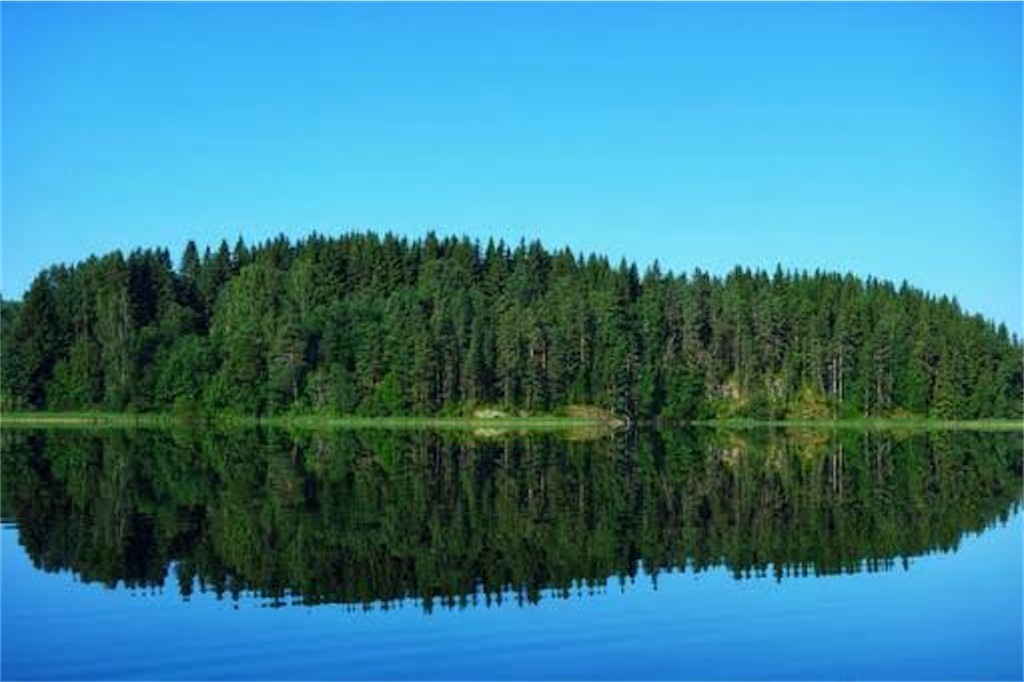 f:id:fujiko-chan:20210621234835j:plain