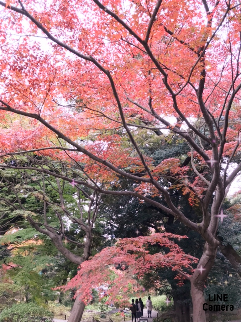 f:id:fujiko-chan:20211122231500j:plain