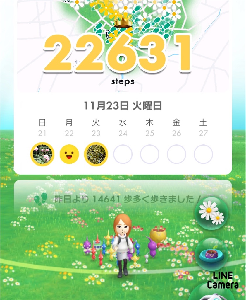 f:id:fujiko-chan:20211123233137j:plain