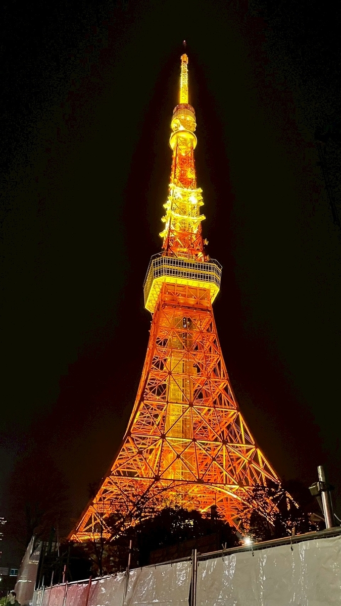 真っ暗な夜空に映える東京タワー。綺麗に赤く光っている。
