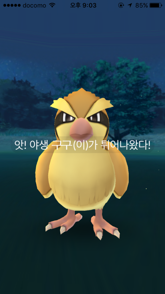 f:id:fujikorea:20170213143021p:plain