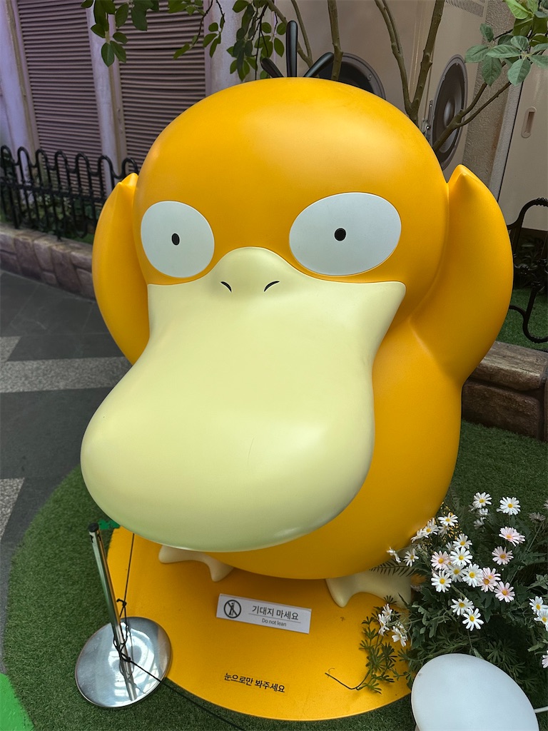 f:id:fujikorea:20250512113121j:image