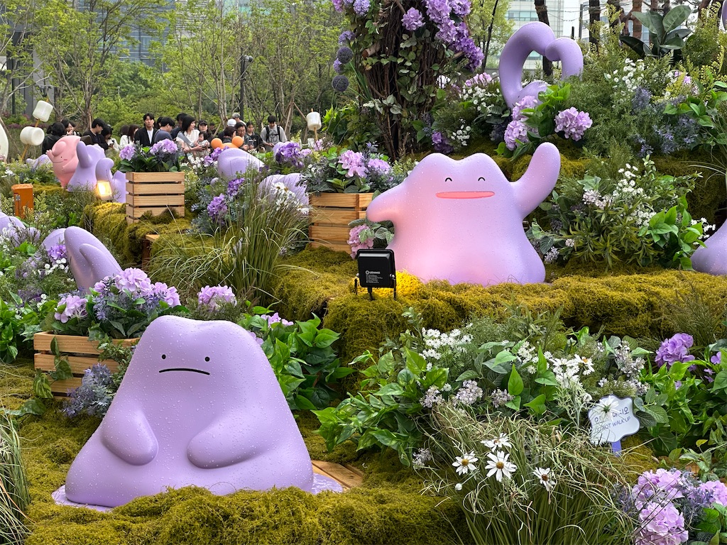 f:id:fujikorea:20250512113229j:image