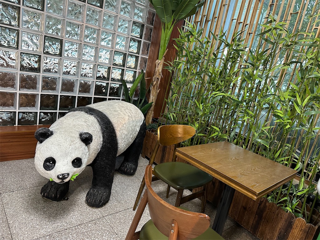 f:id:fujikorea:20260318181807j:image