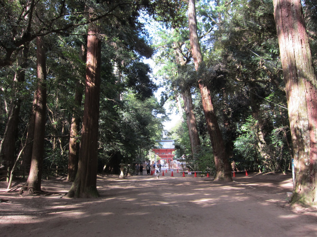f:id:fujikosky:20190915083518j:plain f:id:fujikosky:20190915083518j:plain